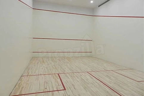 DLF The Camellias Squash Court