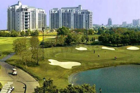 DLF The Camellias Golf Space